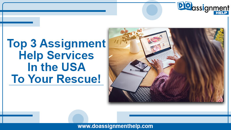 Top 3 Assignment Help Services In the USA To Your Rescue!