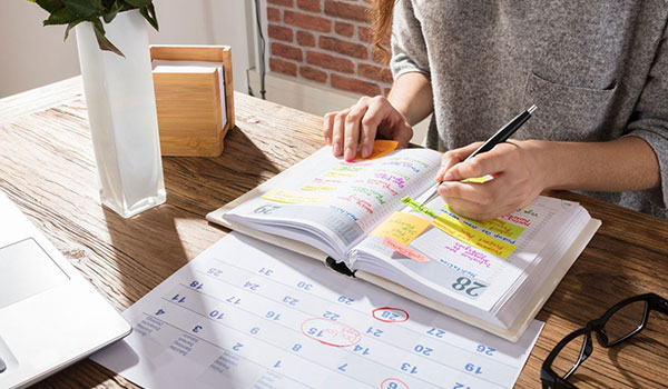 Establish a Daily Schedule